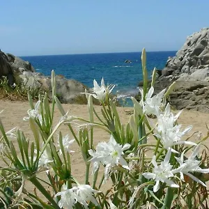  Casa vacanze Giglio Di Mare Italia